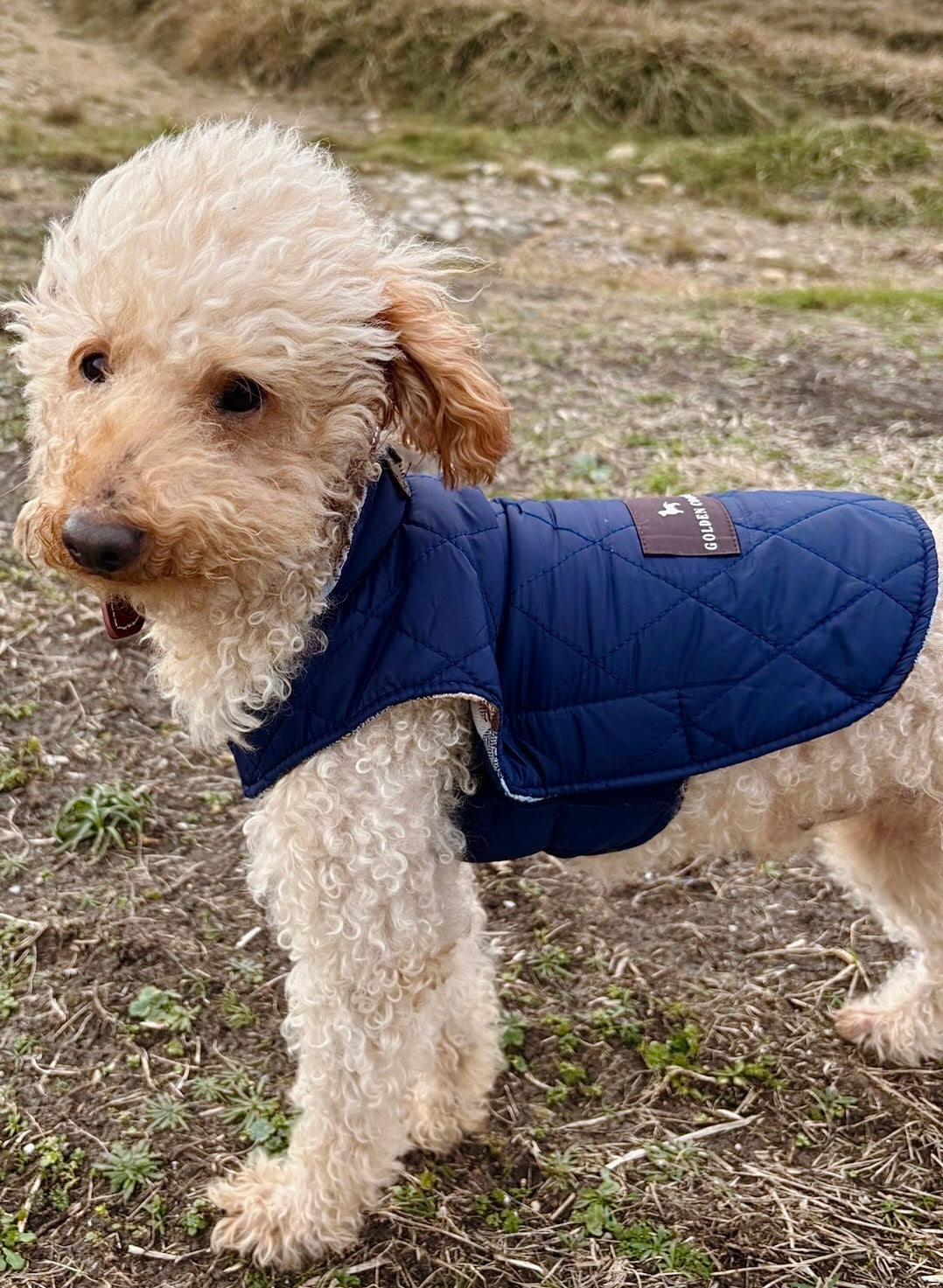 Abrigo tartán azul - Golden Cooper