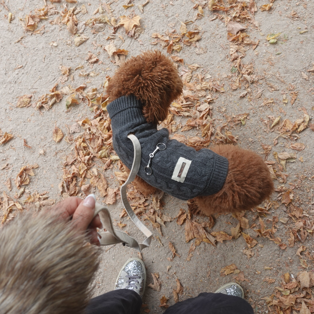 Jersey Zermat - Golden Cooper
