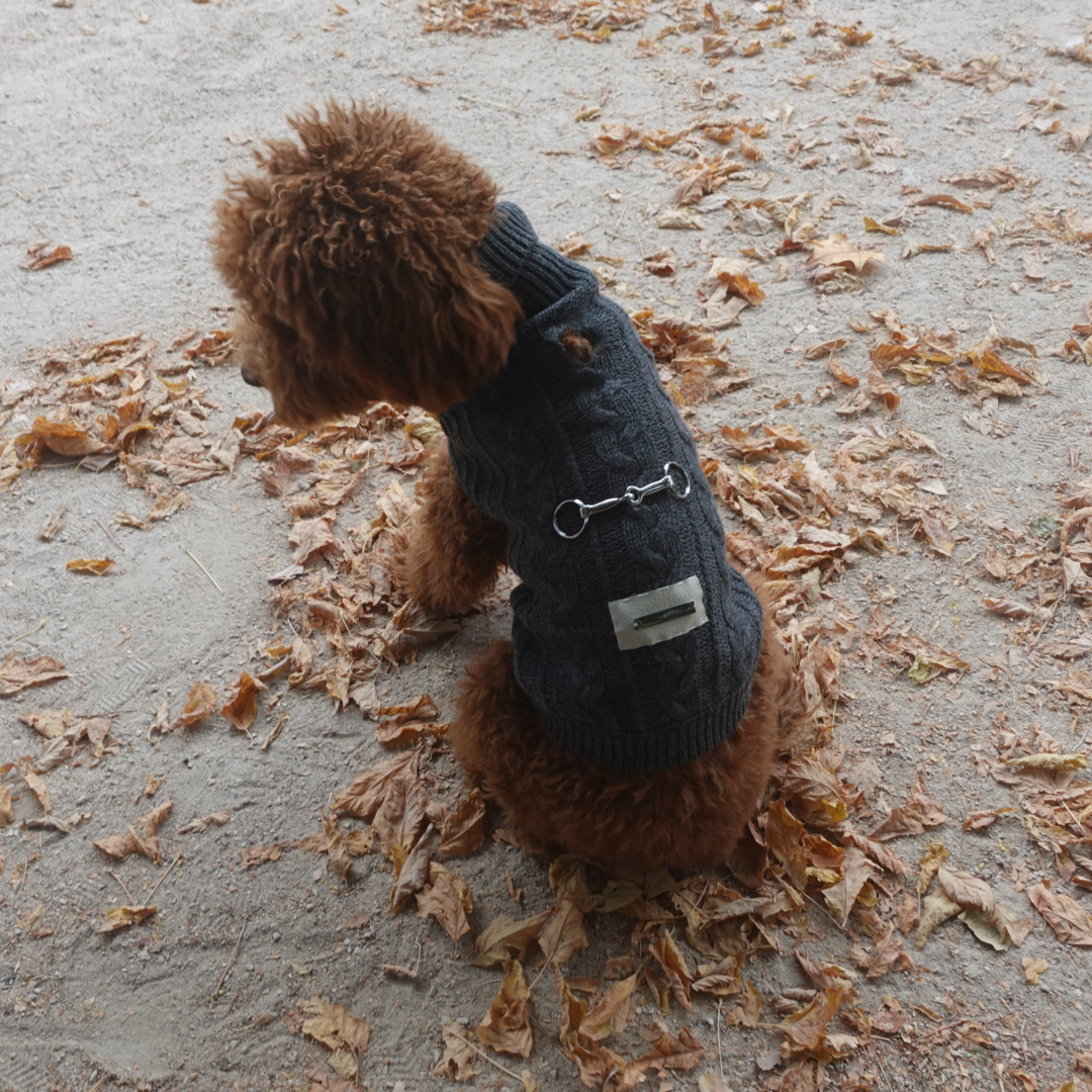 Jersey Zermat - Golden Cooper