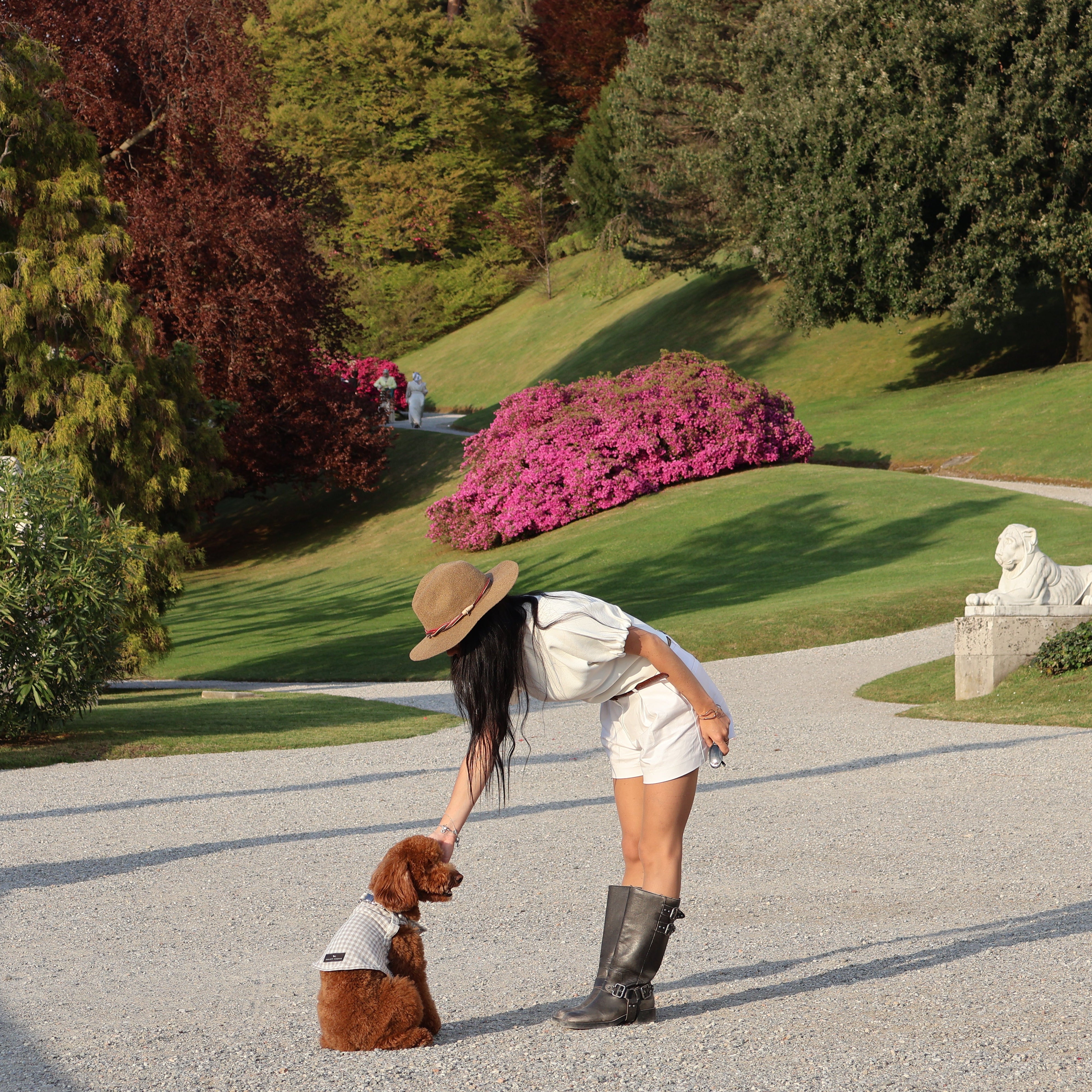 Camiseta Arnés Bellagio - Golden Cooper