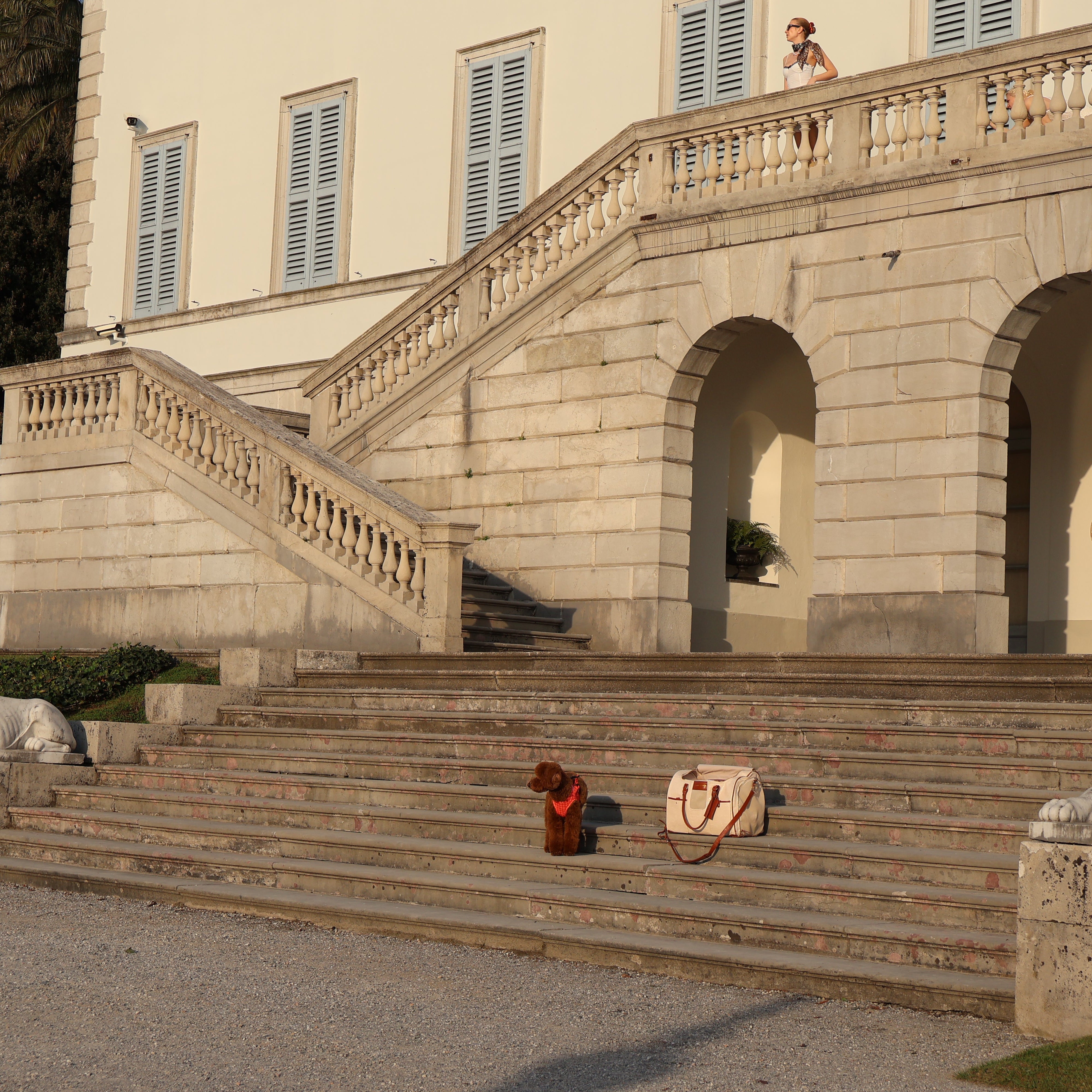 Transportín Como - Golden Cooper