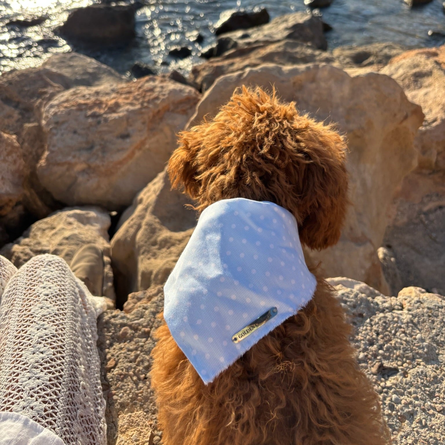 Bandanas Illetas - Golden Cooper