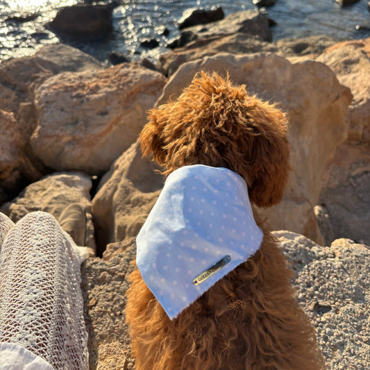 Bandanas Illetas - Golden Cooper