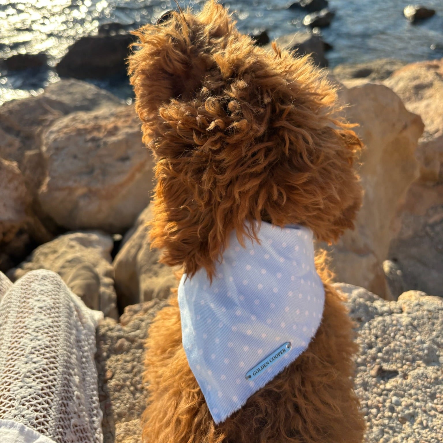 Bandanas Illetas - Golden Cooper