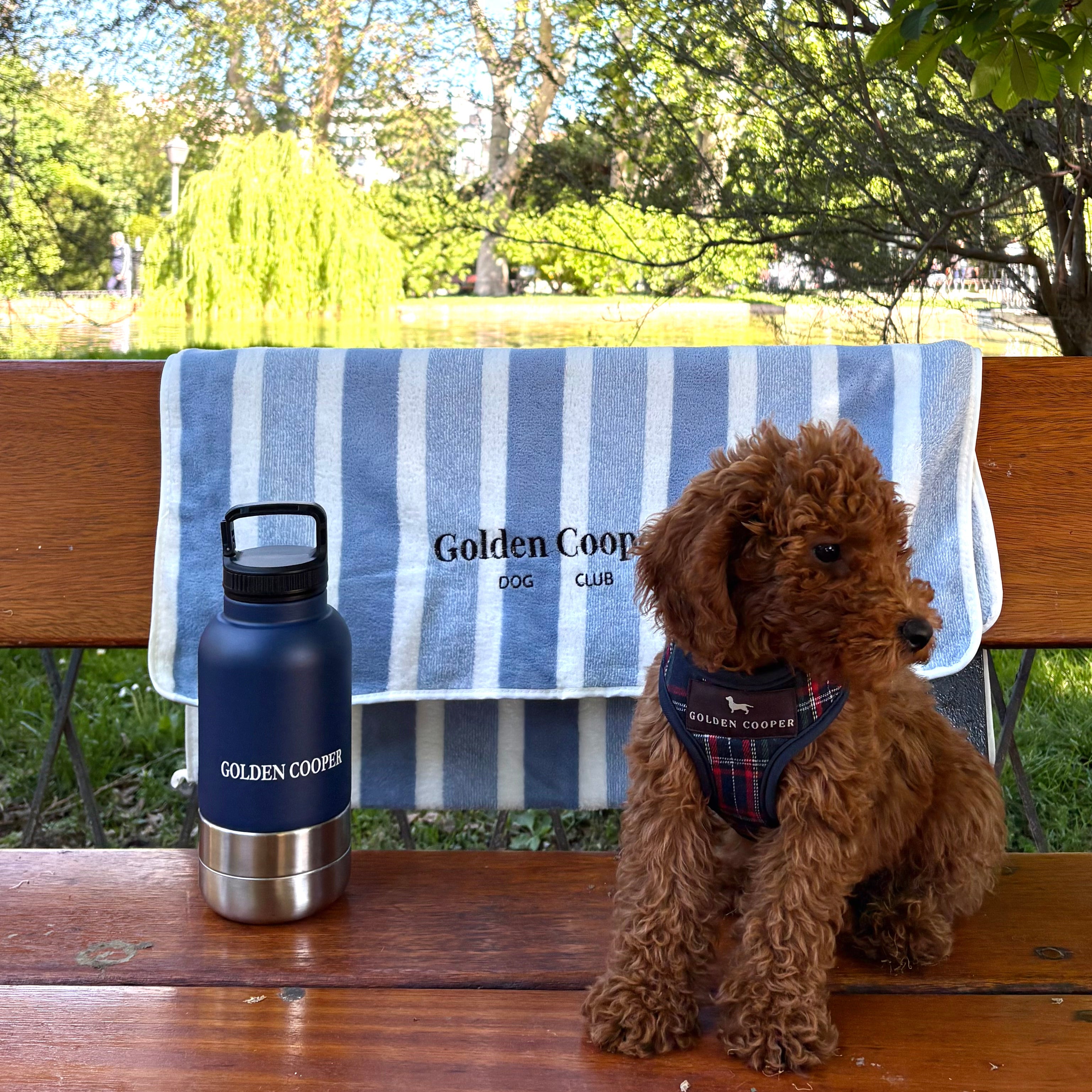 Toallas Golden Cooper - Golden Cooper