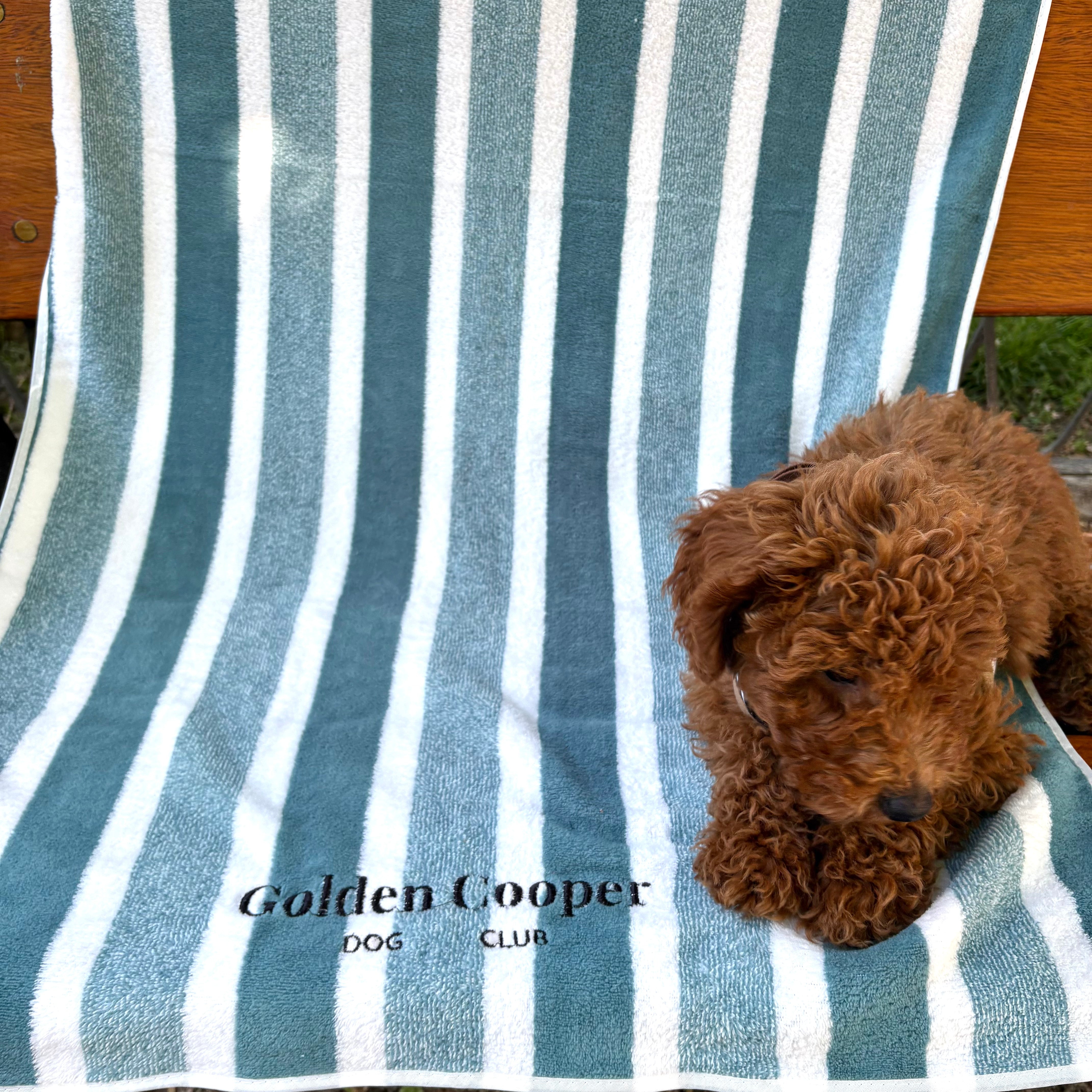 Toallas Golden Cooper - Golden Cooper