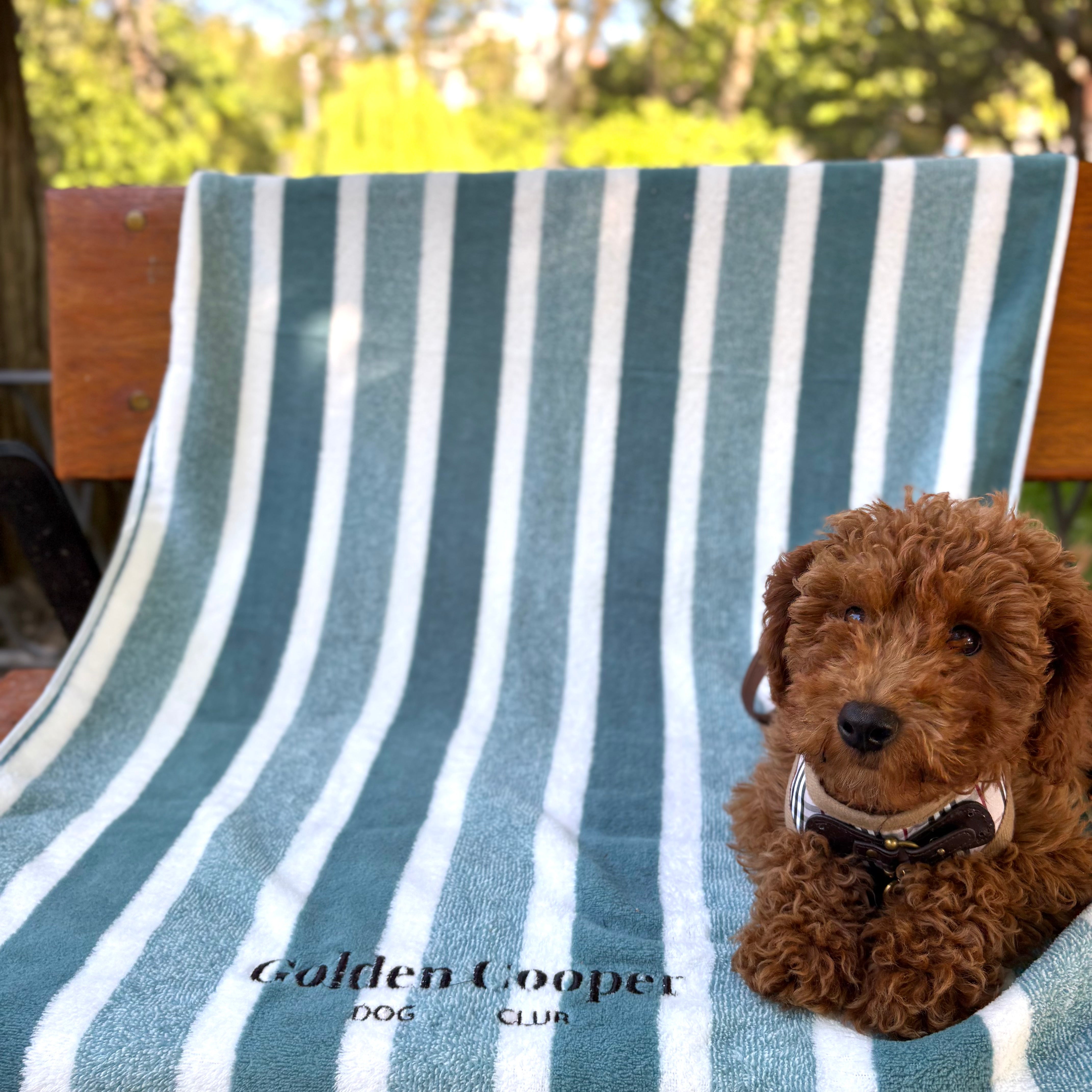 Toallas Golden Cooper - Golden Cooper