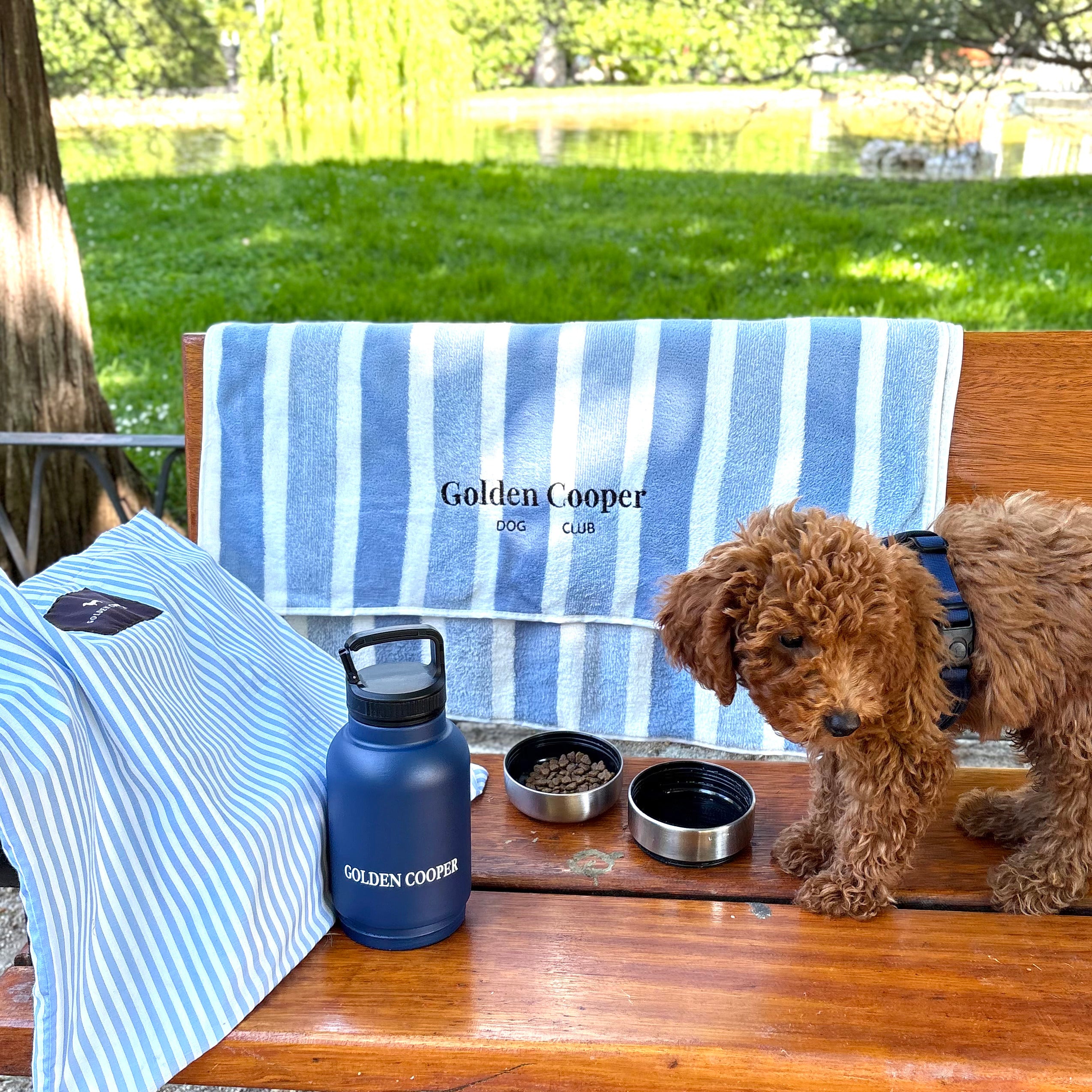 Toallas Golden Cooper - Golden Cooper