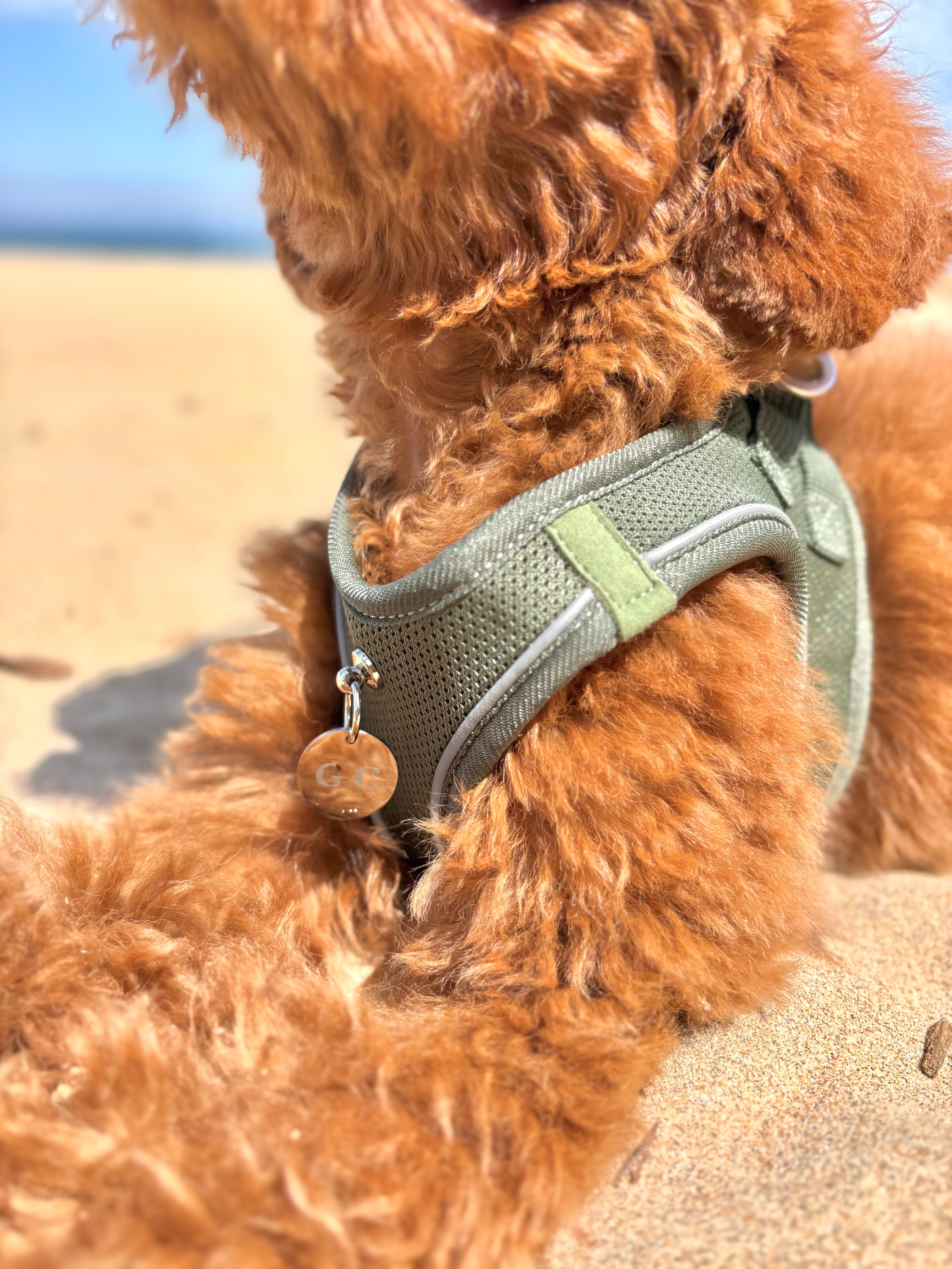 Arnés Transpirable - Golden Cooper