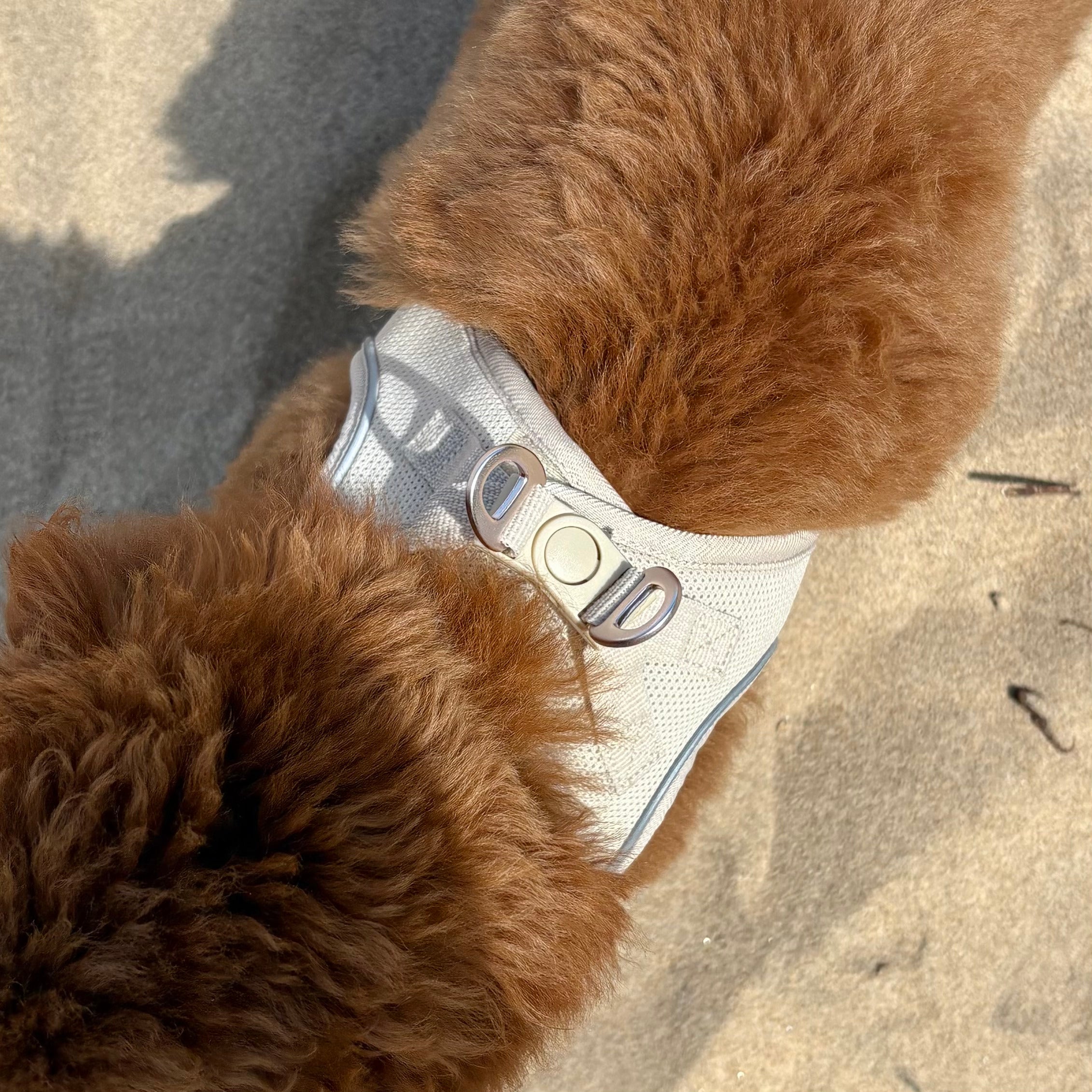 Arnés Transpirable - Golden Cooper