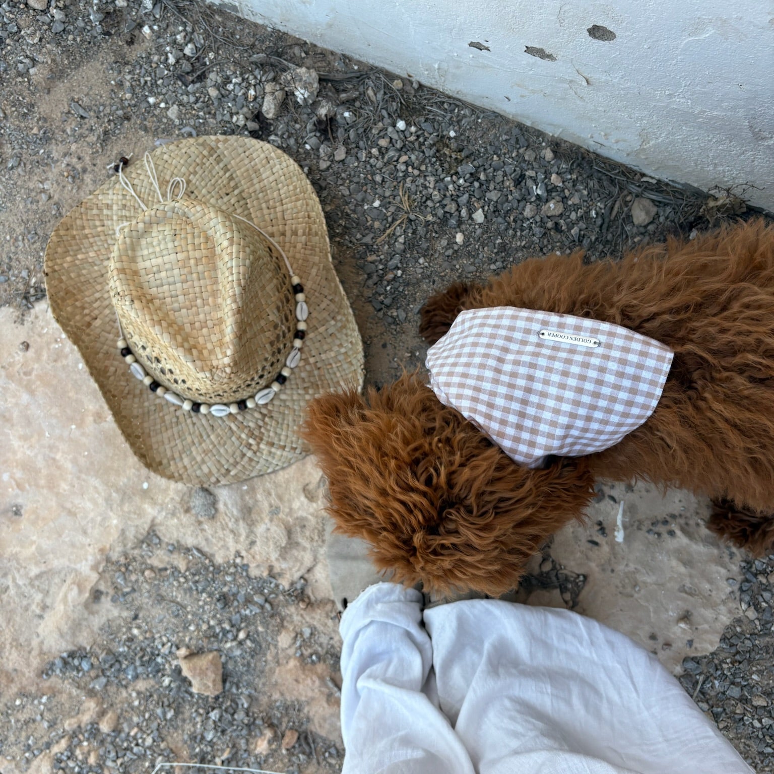 Bandanas Illetas - Golden Cooper