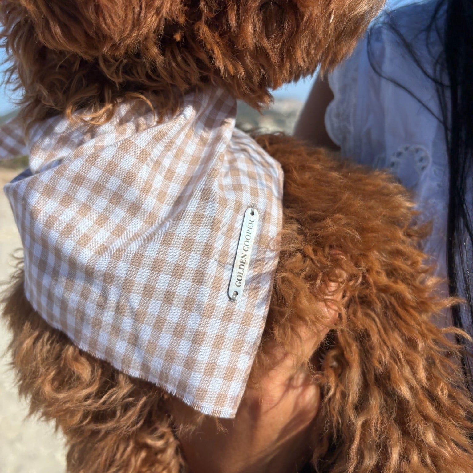 Bandanas Illetas - Golden Cooper