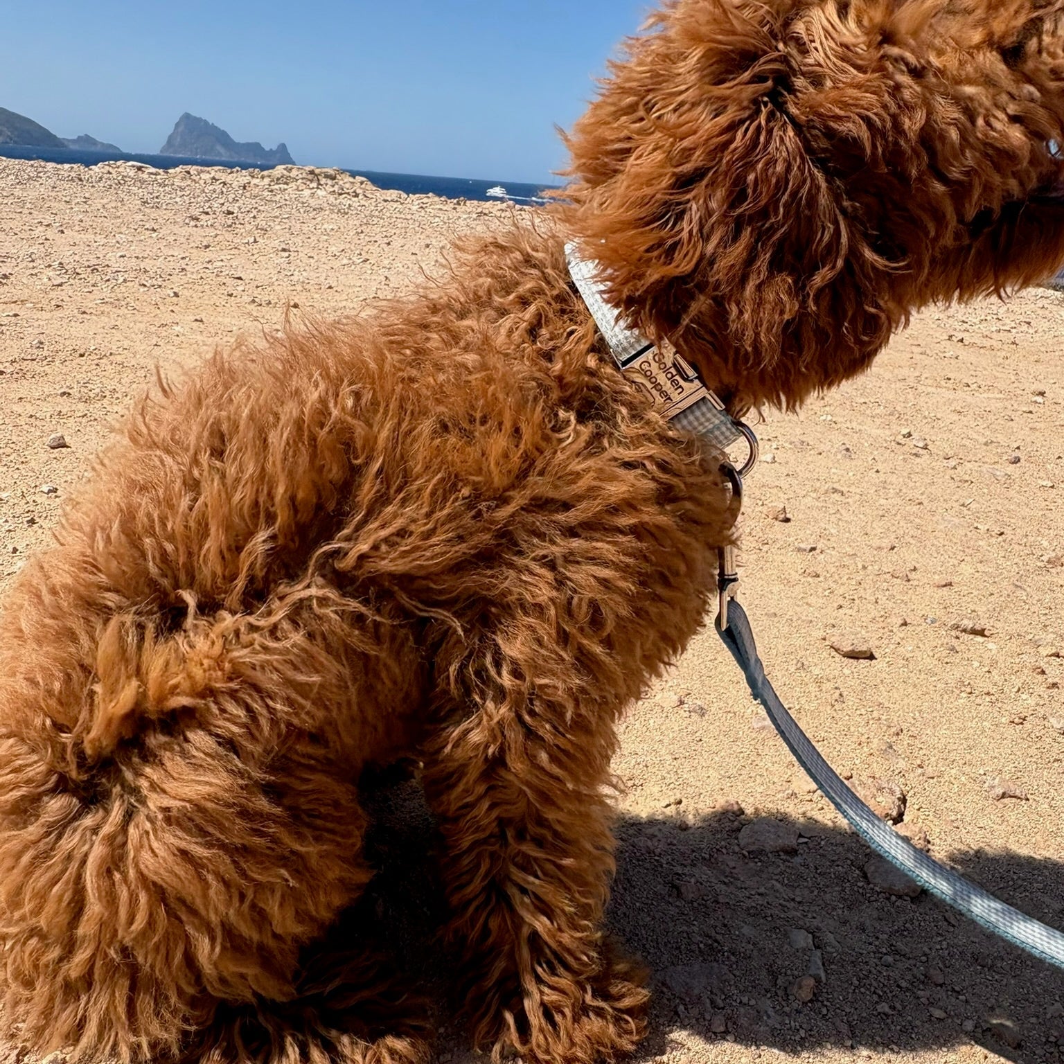 Collar Dalt Vila - Golden Cooper