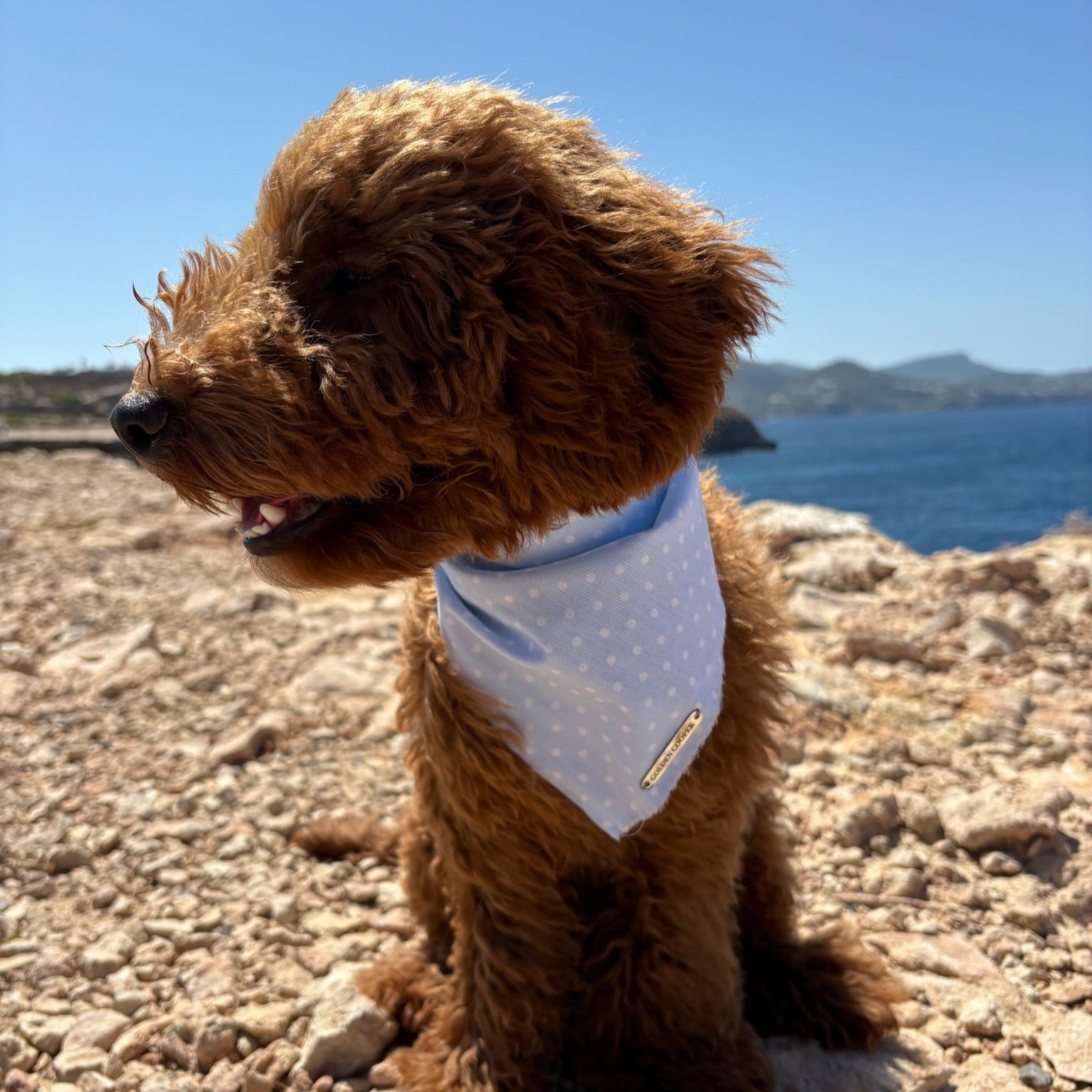 Bandanas Illetas - Golden Cooper