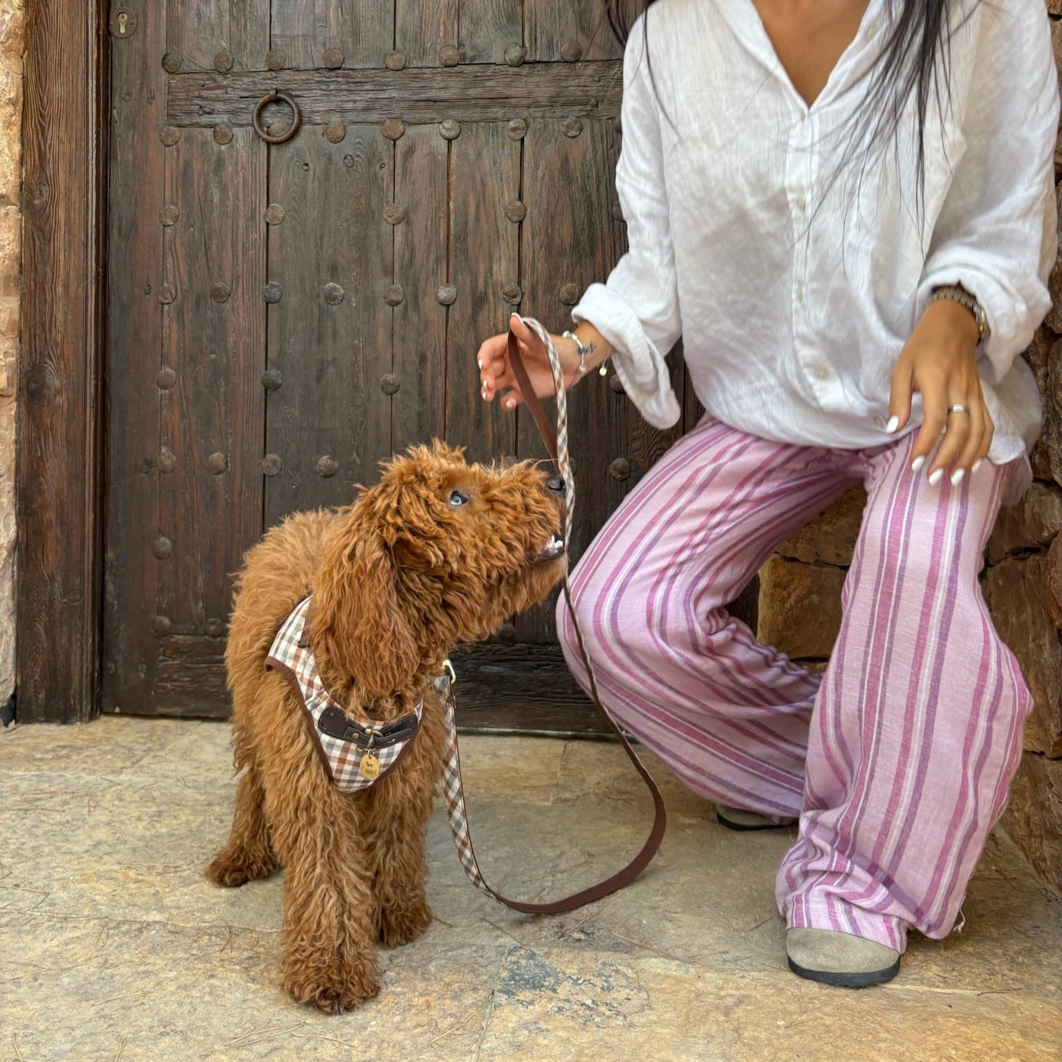 Arnés Benirràs - Golden Cooper