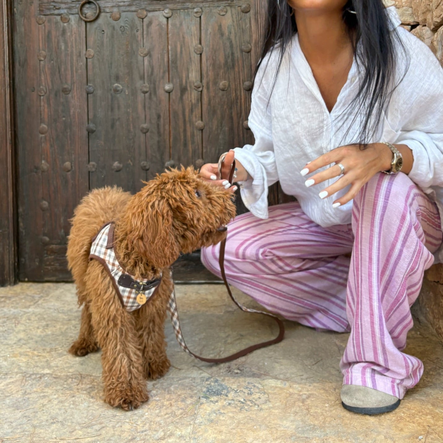 Arnés Benirràs - Golden Cooper