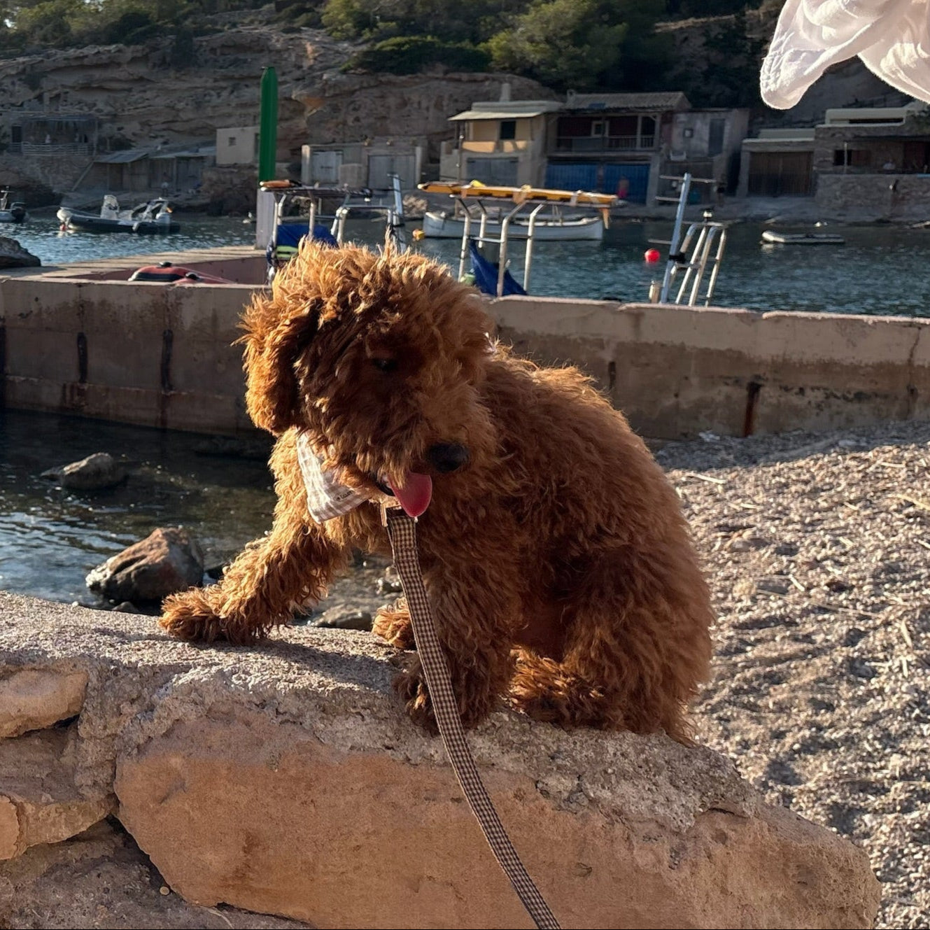 Collar Dalt Vila - Golden Cooper