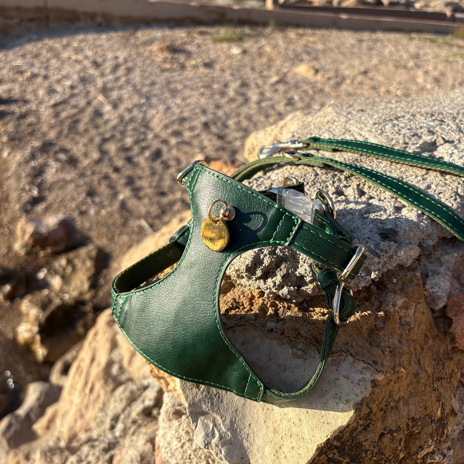 Arnés Bassa - Golden Cooper