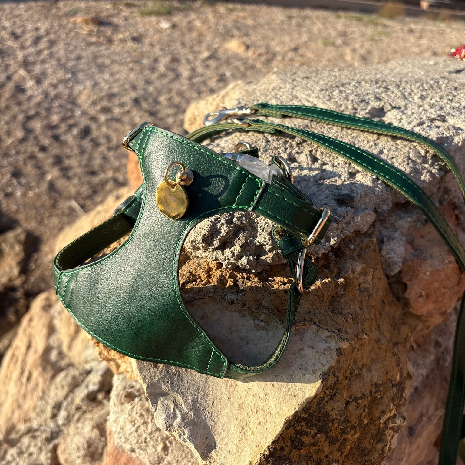 Arnés Bassa - Golden Cooper