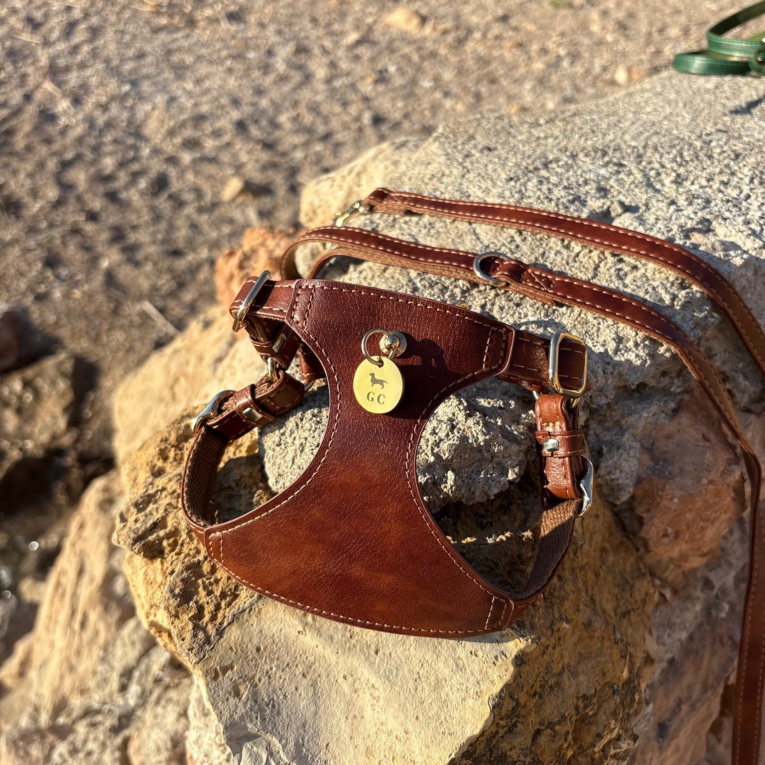 Arnés Bassa - Golden Cooper