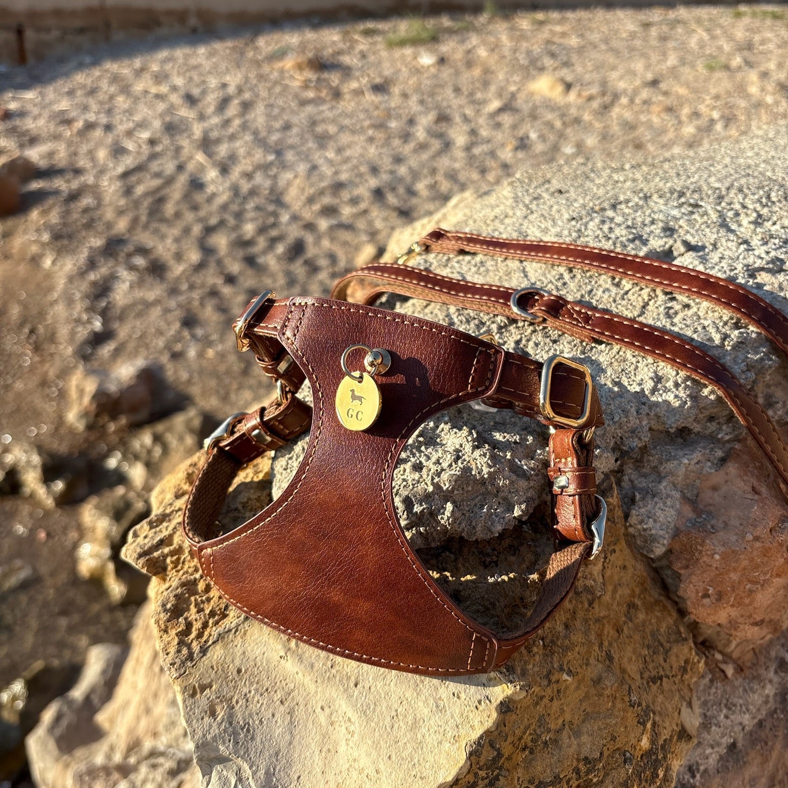 Arnés Bassa - Golden Cooper