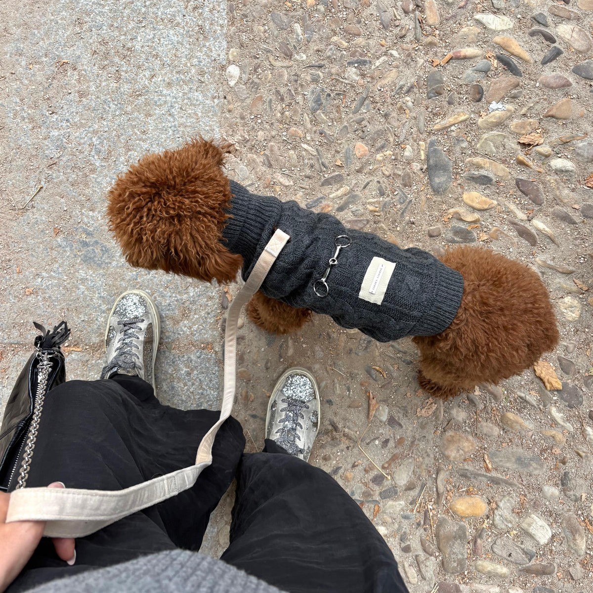 Jersey Zermat - Golden Cooper