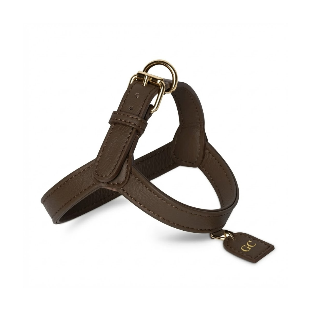 Arnés Barbianello con correa