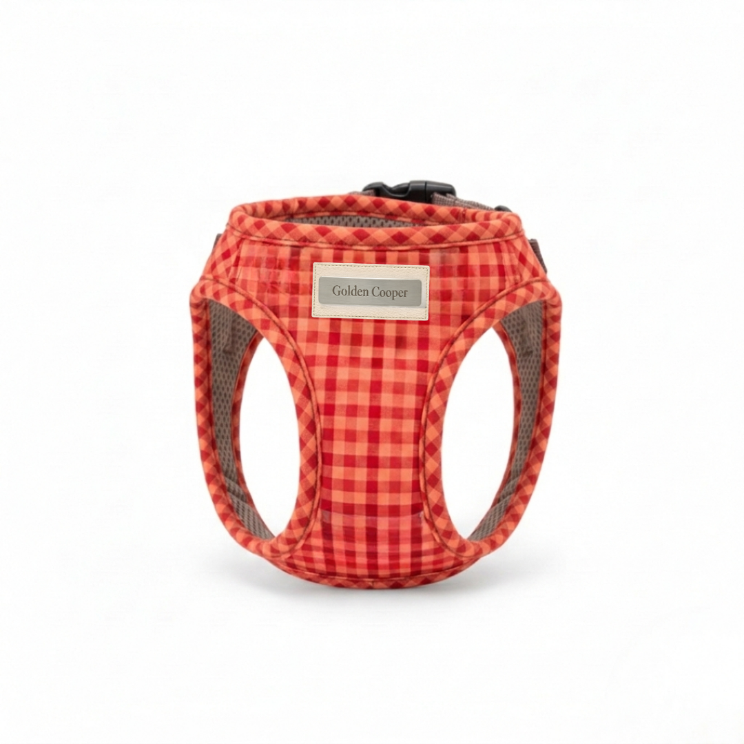 Arnés de colores - Golden Cooper