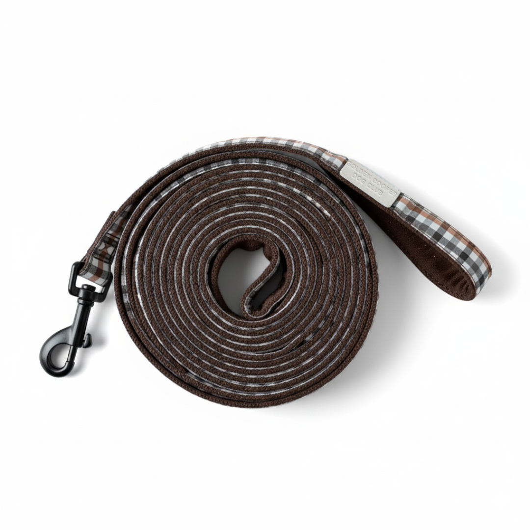 Arnés Benirrás con correa - Golden Cooper