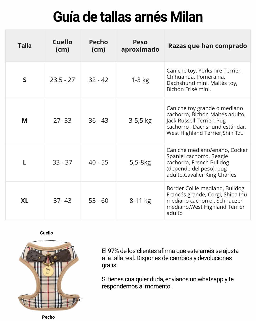 Arnés Milán con correa - Golden Cooper