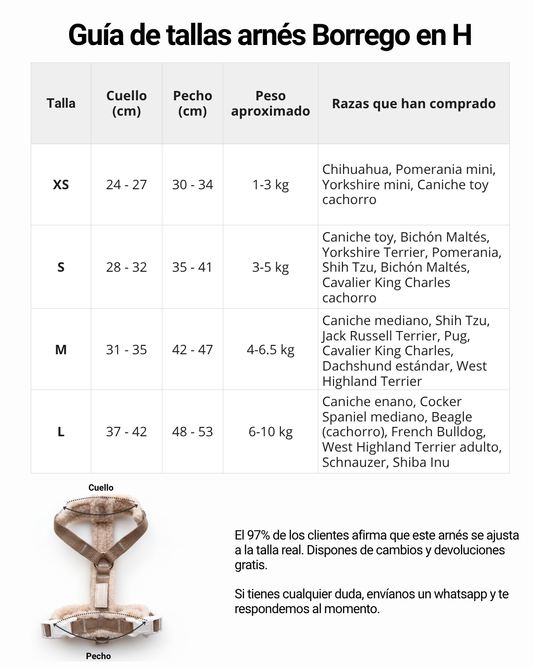 Arnés Borrego en H con correa - Golden Cooper
