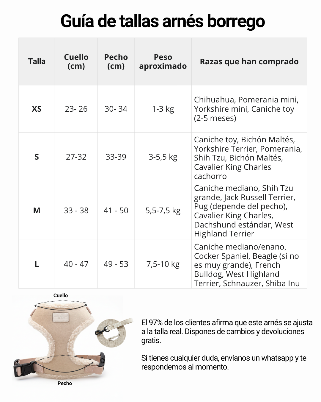 Arnés Borrego con correa - Golden Cooper