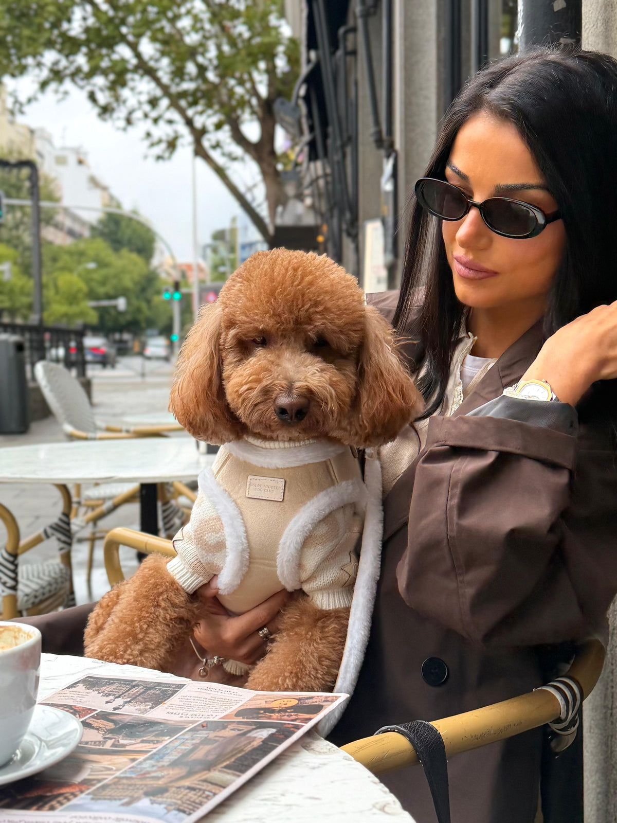 Arnés Borrego beige - Golden Cooper