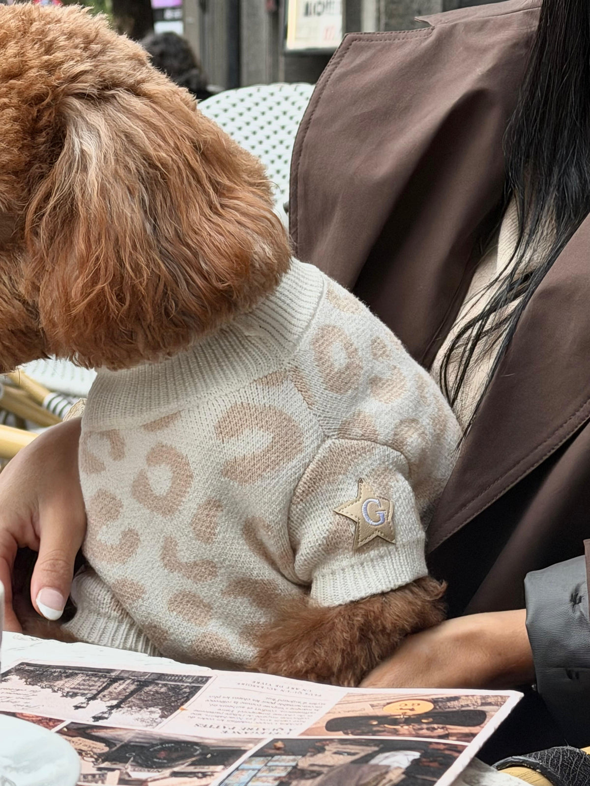 Jersey de Leopardo - Golden Cooper
