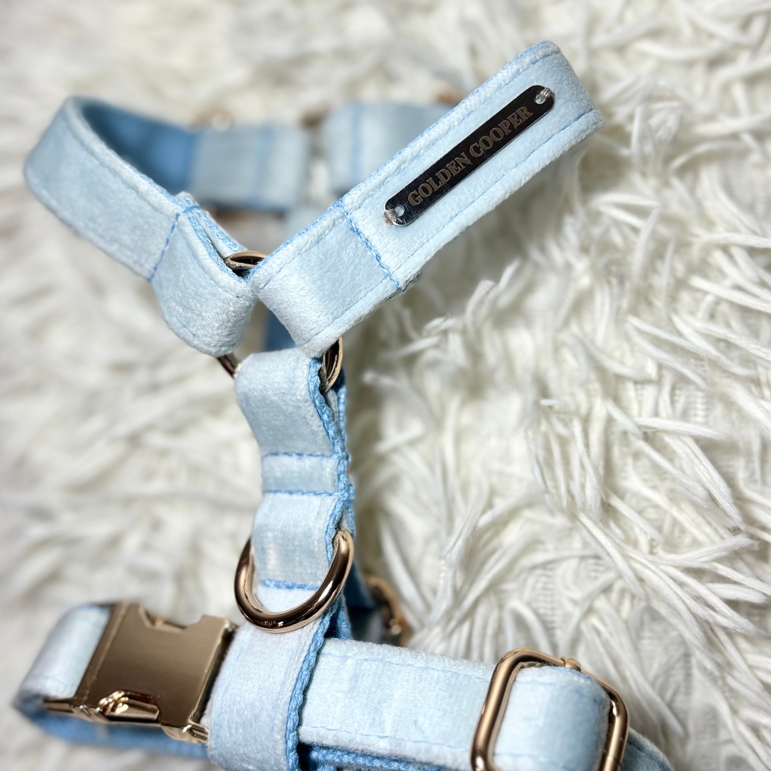 Conjunto Velvet® - Arnés, porta bolsas y correa. - Golden Cooper