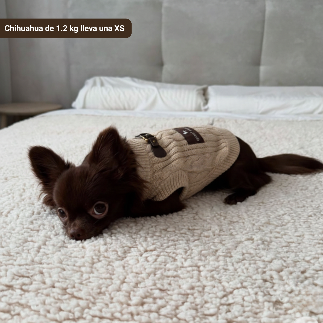 Jersey Cozy - Golden Cooper