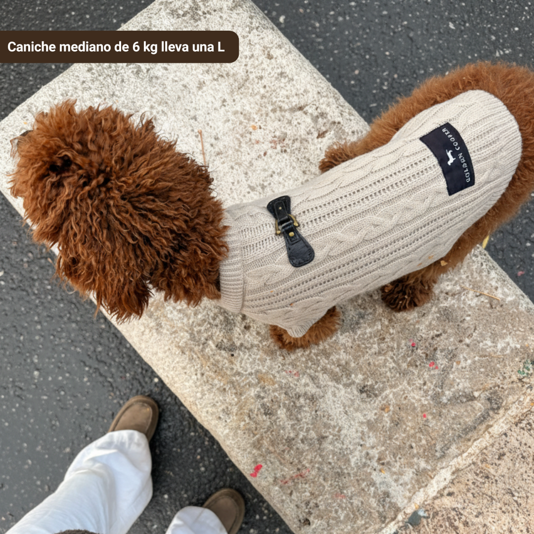 Jersey Cozy - Golden Cooper