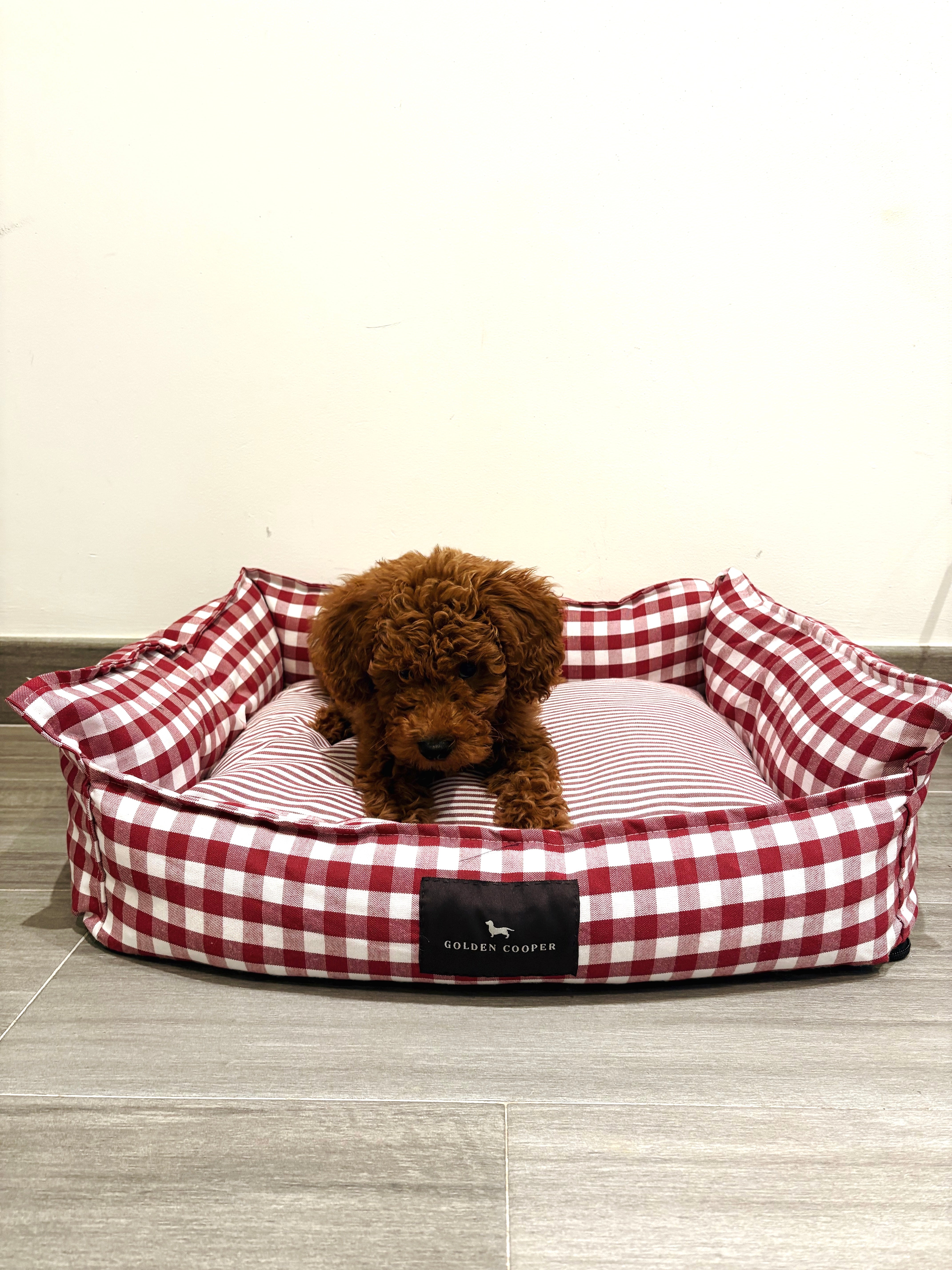 Cama de Verano - Golden Cooper