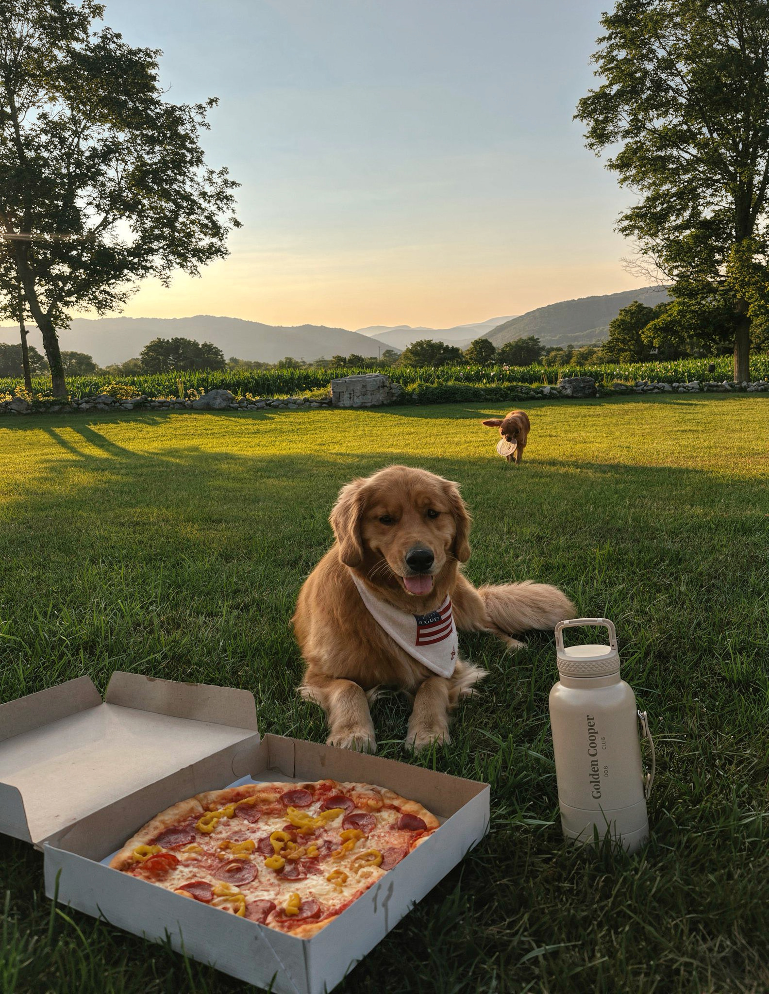 Botella Golden Cooper - Golden Cooper