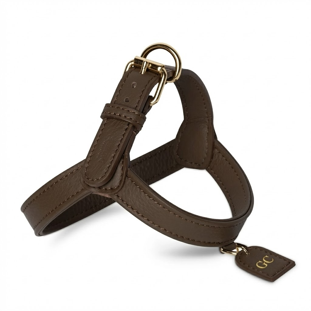 Arnés de cuero - Golden Cooper