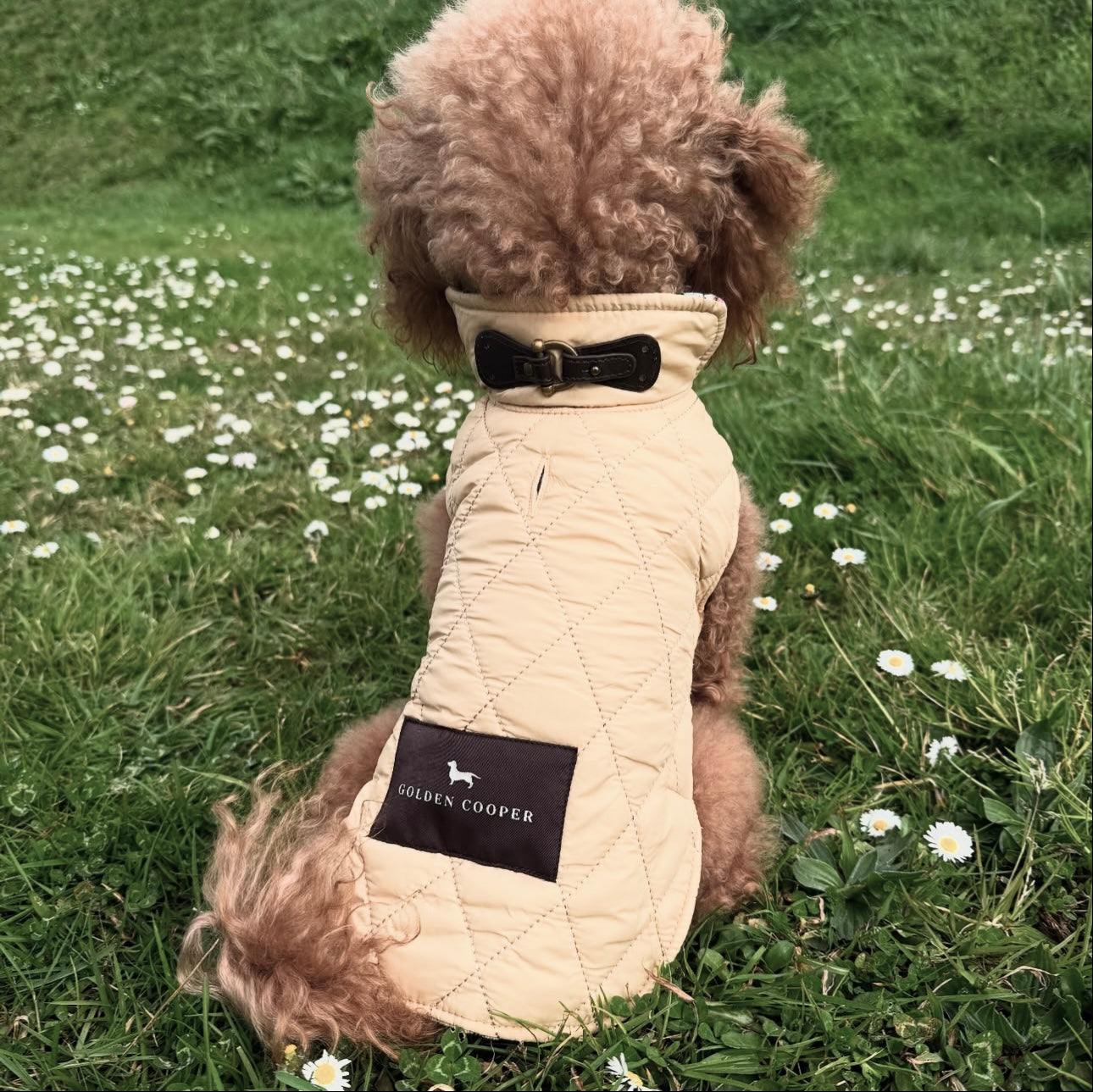 Abrigo tartán beige - Golden Cooper