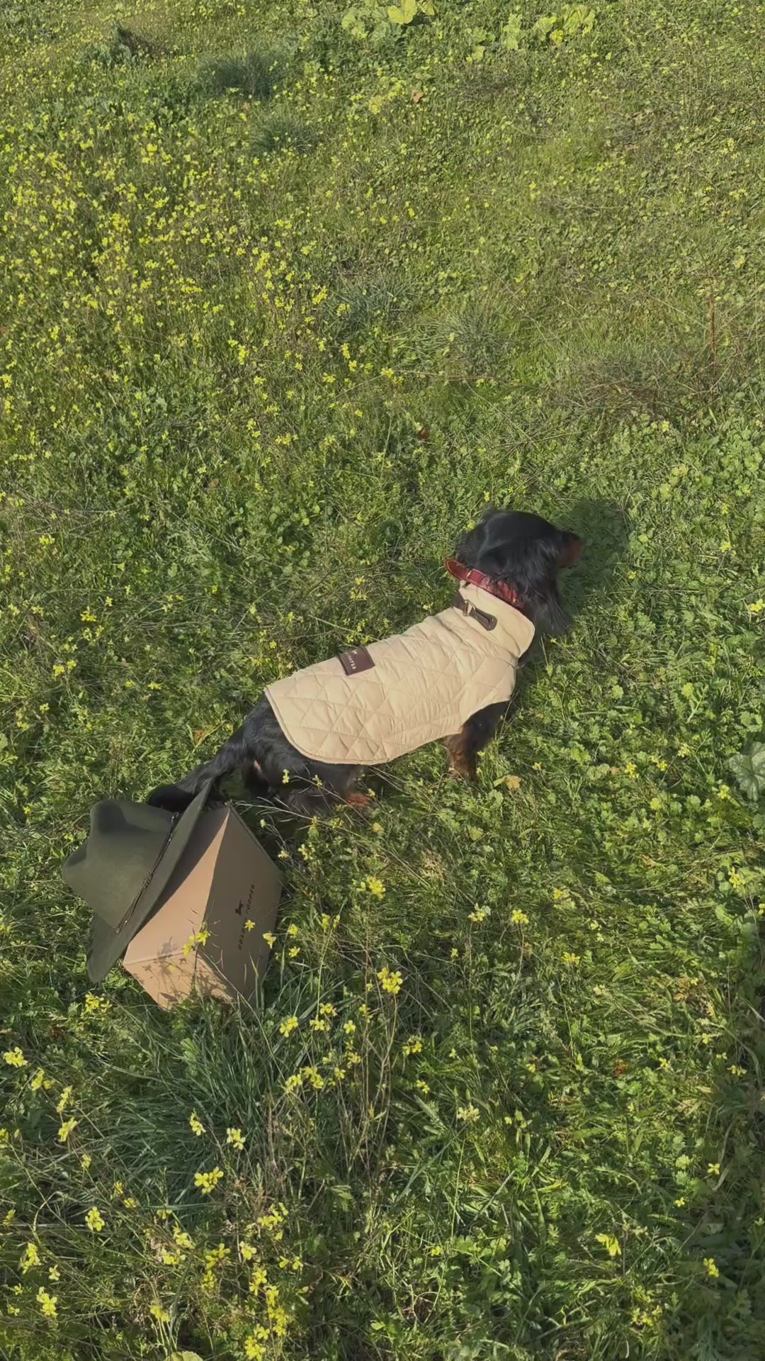 Abrigo tartán beige