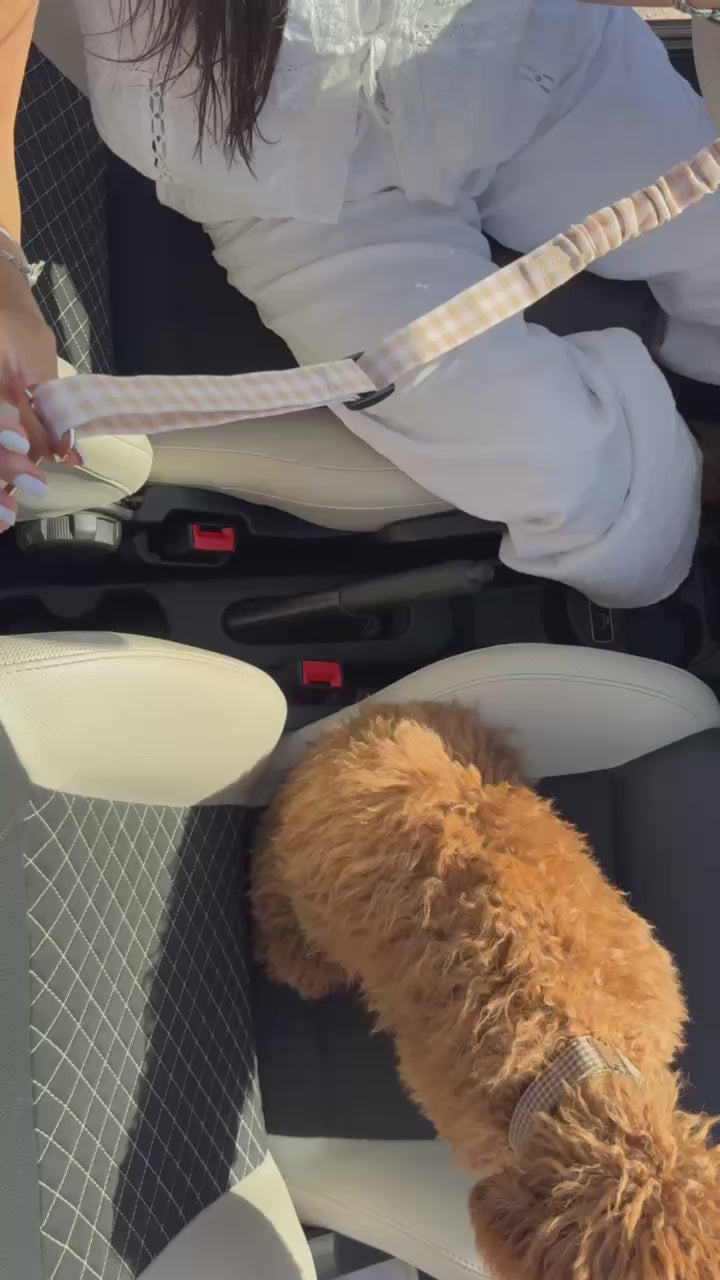 Cinturón Golden Pro