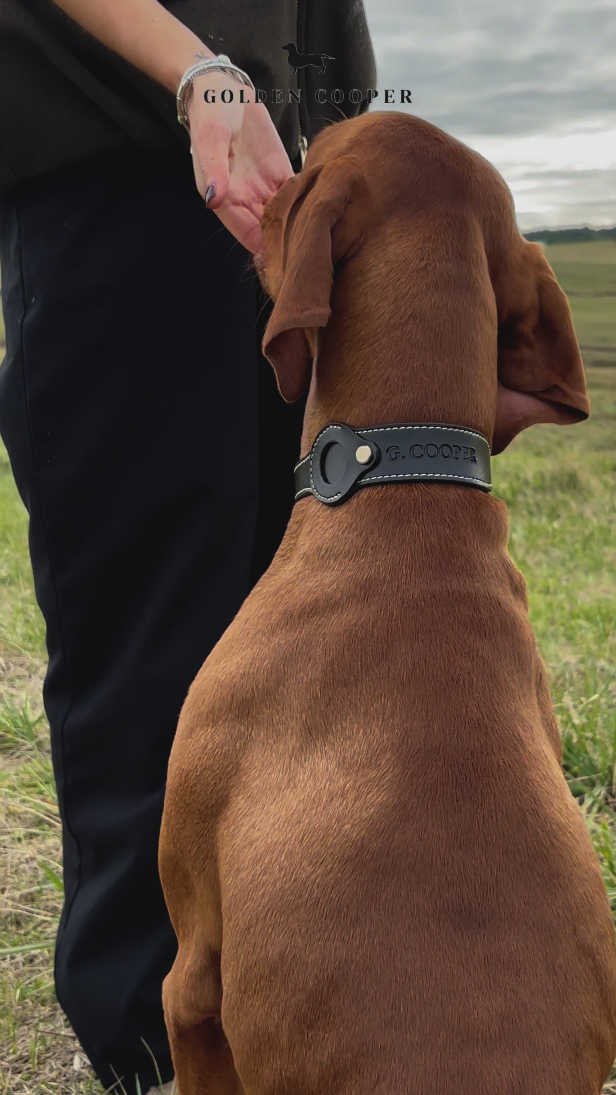 Collar marrón airtag