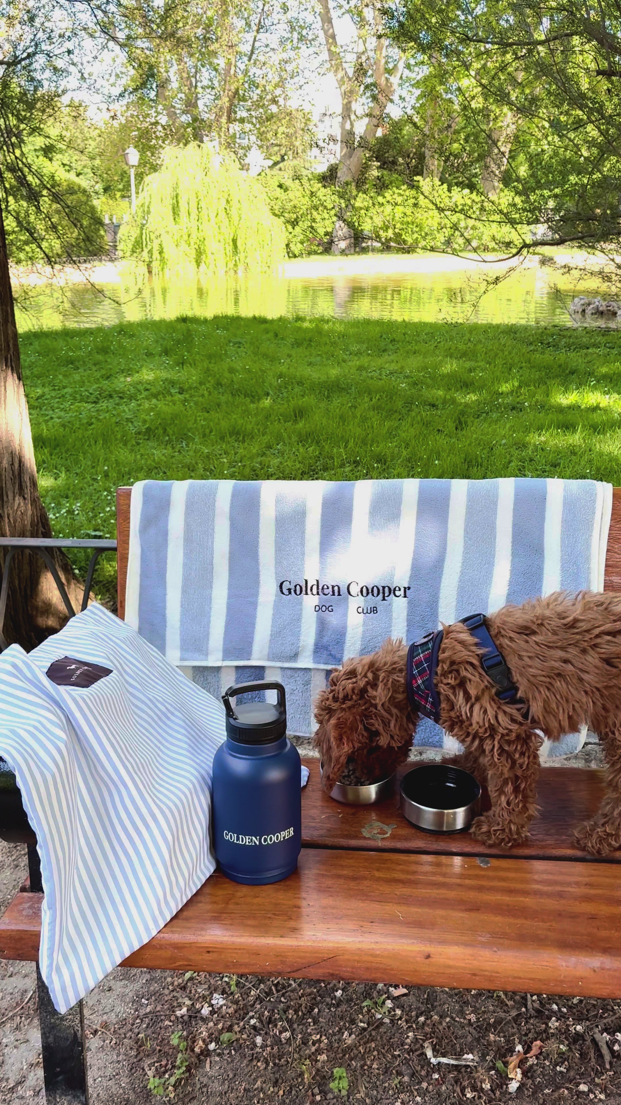 Toallas Golden Cooper