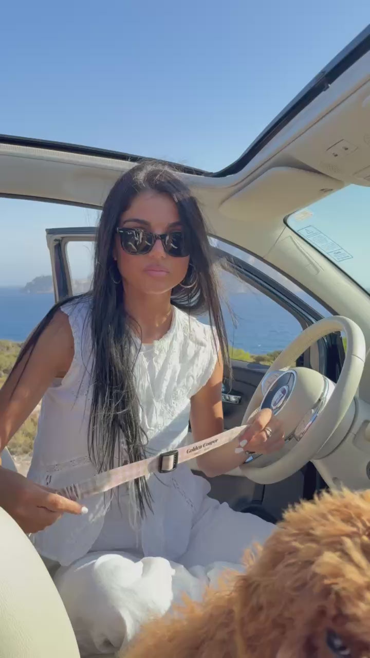 Cinturón Golden Pro