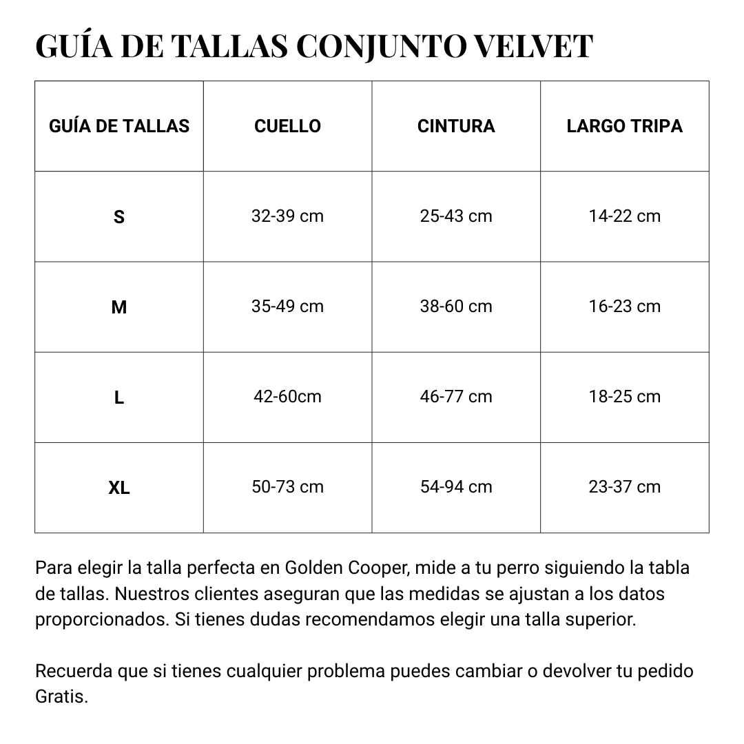 Conjunto Velvet® - Arnés, porta bolsas y correa. - Golden Cooper