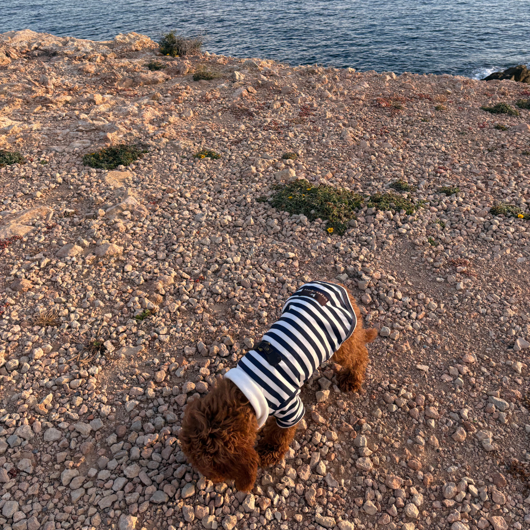 Polo marinero - Golden Cooper