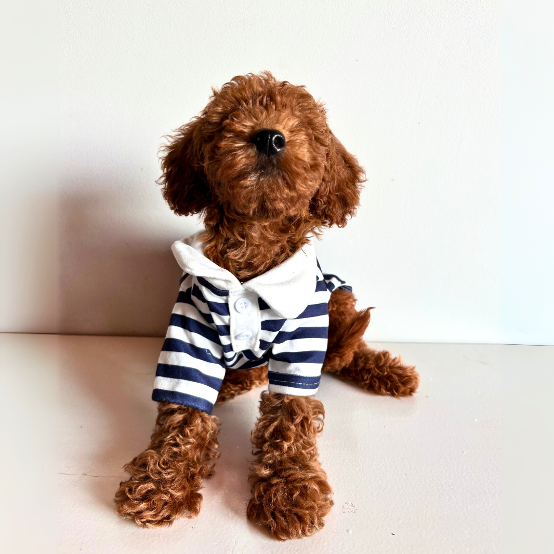 Polo marinero - Golden Cooper